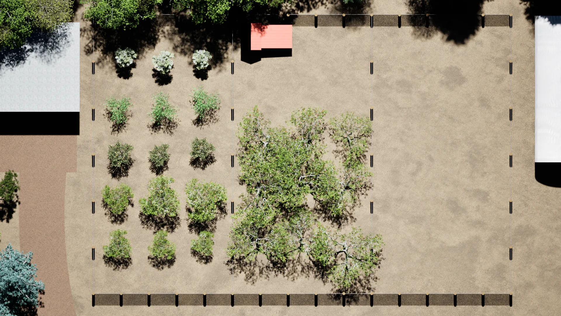Aerial view of the orchard and nursery rows in summer