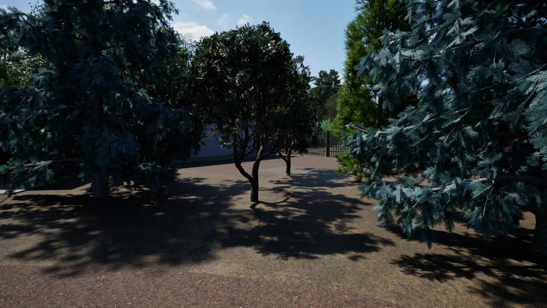 A clearing in the woods, gravel and sky